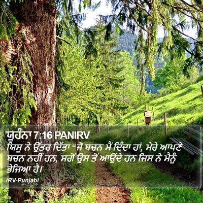 ਯੂਹੰਨਾ 7:16 PANIRV Bible Verse Image