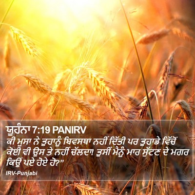 ਯੂਹੰਨਾ 7:19 PANIRV Bible Verse Image