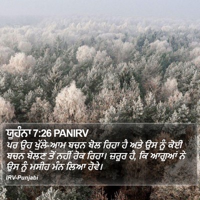 ਯੂਹੰਨਾ 7:26 PANIRV Bible Verse Image
