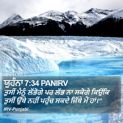 ਯੂਹੰਨਾ 7:34 PANIRV Bible Verse Image