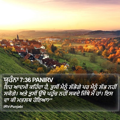 ਯੂਹੰਨਾ 7:36 PANIRV Bible Verse Image