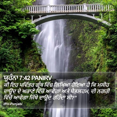 ਯੂਹੰਨਾ 7:42 PANIRV Bible Verse Image