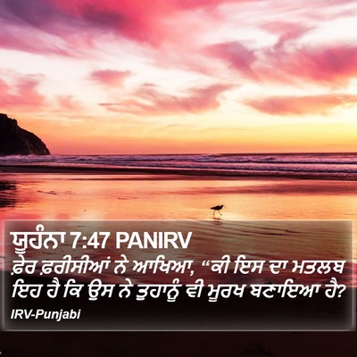 ਯੂਹੰਨਾ 7:47 PANIRV Bible Verse Image