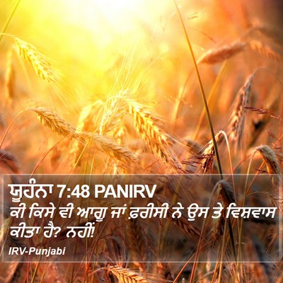 ਯੂਹੰਨਾ 7:48 PANIRV Bible Verse Image