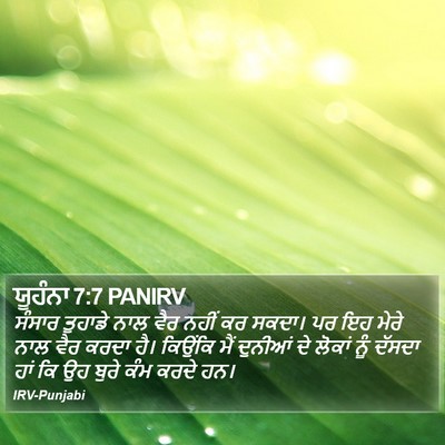ਯੂਹੰਨਾ 7:7 PANIRV Bible Verse Image