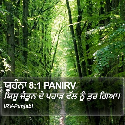 ਯੂਹੰਨਾ 8:1 PANIRV Bible Verse Image