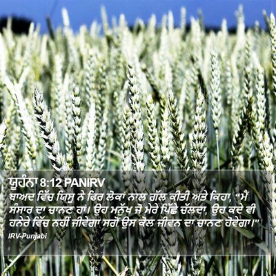 ਯੂਹੰਨਾ 8:12 PANIRV Bible Verse Image