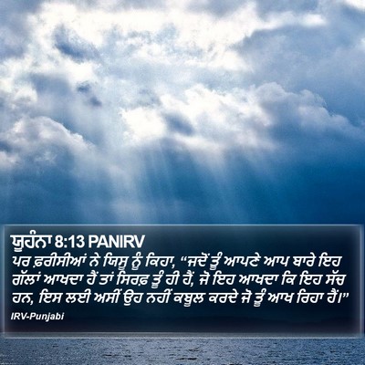 ਯੂਹੰਨਾ 8:13 PANIRV Bible Verse Image