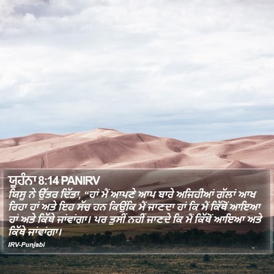 ਯੂਹੰਨਾ 8:14 PANIRV Bible Verse Image