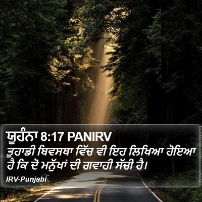 ਯੂਹੰਨਾ 8:17 PANIRV Bible Verse Image