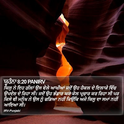 ਯੂਹੰਨਾ 8:20 PANIRV Bible Verse Image