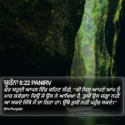 ਯੂਹੰਨਾ 8:22 PANIRV Bible Verse Image
