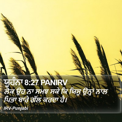ਯੂਹੰਨਾ 8:27 PANIRV Bible Verse Image