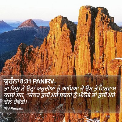 ਯੂਹੰਨਾ 8:31 PANIRV Bible Verse Image