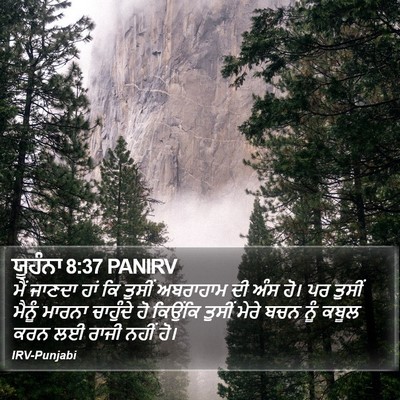 ਯੂਹੰਨਾ 8:37 PANIRV Bible Verse Image