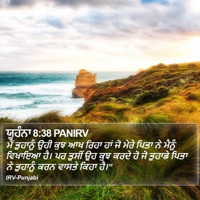 ਯੂਹੰਨਾ 8:38 PANIRV Bible Verse Image