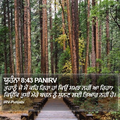 ਯੂਹੰਨਾ 8:43 PANIRV Bible Verse Image