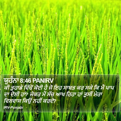 ਯੂਹੰਨਾ 8:46 PANIRV Bible Verse Image