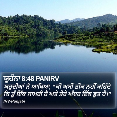 ਯੂਹੰਨਾ 8:48 PANIRV Bible Verse Image