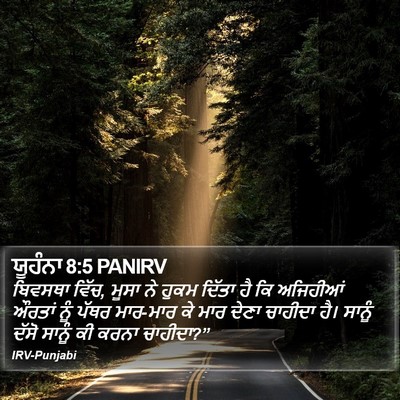 ਯੂਹੰਨਾ 8:5 PANIRV Bible Verse Image