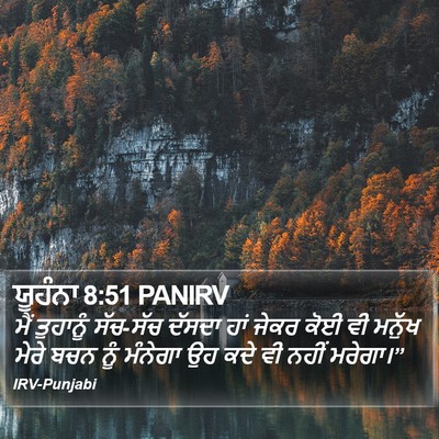 ਯੂਹੰਨਾ 8:51 PANIRV Bible Verse Image