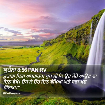 ਯੂਹੰਨਾ 8:56 PANIRV Bible Verse Image