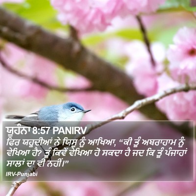 ਯੂਹੰਨਾ 8:57 PANIRV Bible Verse Image