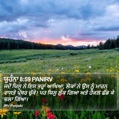 ਯੂਹੰਨਾ 8:59 PANIRV Bible Verse Image
