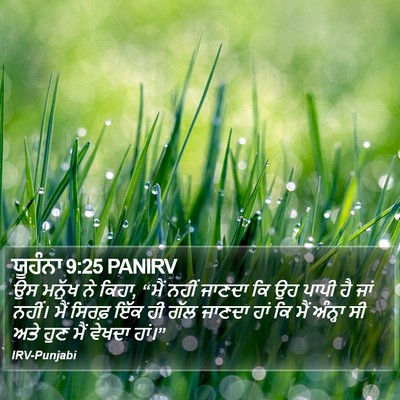 ਯੂਹੰਨਾ 9:25 PANIRV Bible Verse Image