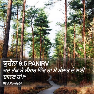 ਯੂਹੰਨਾ 9:5 PANIRV Bible Verse Image