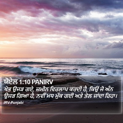 ਯੋਏਲ 1:10 PANIRV Bible Verse Image