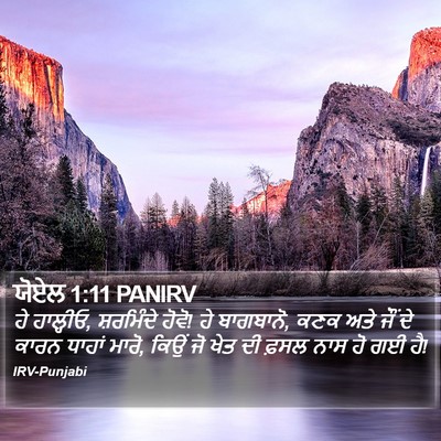 ਯੋਏਲ 1:11 PANIRV Bible Verse Image