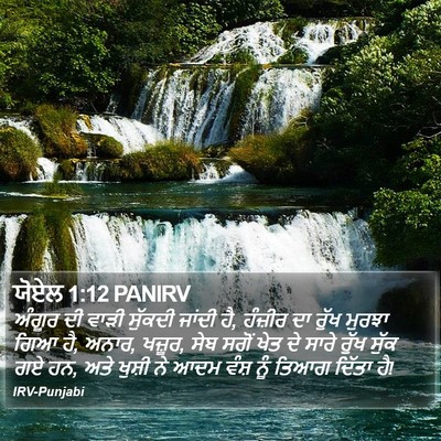 ਯੋਏਲ 1:12 PANIRV Bible Verse Image