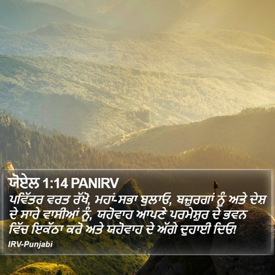 ਯੋਏਲ 1:14 PANIRV Bible Verse Image