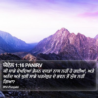 ਯੋਏਲ 1:16 PANIRV Bible Verse Image