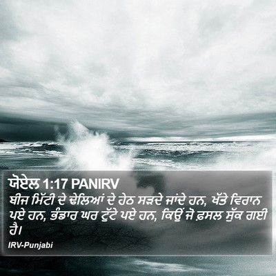 ਯੋਏਲ 1:17 PANIRV Bible Verse Image