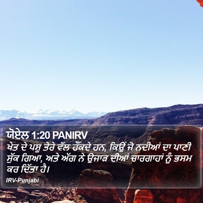 ਯੋਏਲ 1:20 PANIRV Bible Verse Image