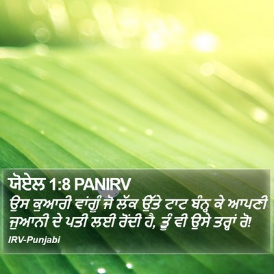 ਯੋਏਲ 1:8 PANIRV Bible Verse Image