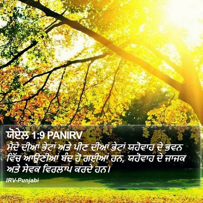 ਯੋਏਲ 1:9 PANIRV Bible Verse Image