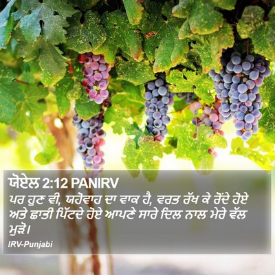 ਯੋਏਲ 2:12 PANIRV Bible Verse Image