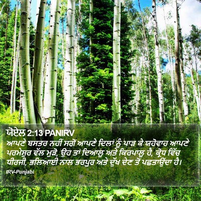 ਯੋਏਲ 2:13 PANIRV Bible Verse Image