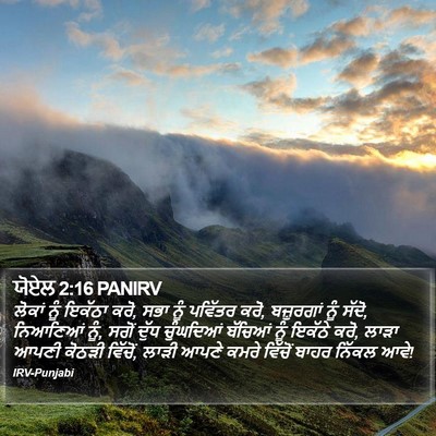 ਯੋਏਲ 2:16 PANIRV Bible Verse Image