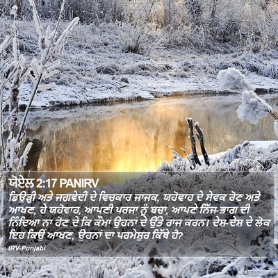 ਯੋਏਲ 2:17 PANIRV Bible Verse Image