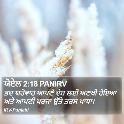 ਯੋਏਲ 2:18 PANIRV Bible Verse Image