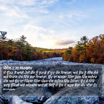ਯੋਏਲ 2:20 PANIRV Bible Verse Image