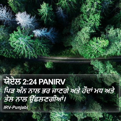ਯੋਏਲ 2:24 PANIRV Bible Verse Image