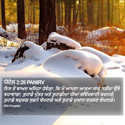 ਯੋਏਲ 2:28 PANIRV Bible Verse Image