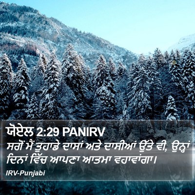 ਯੋਏਲ 2:29 PANIRV Bible Verse Image