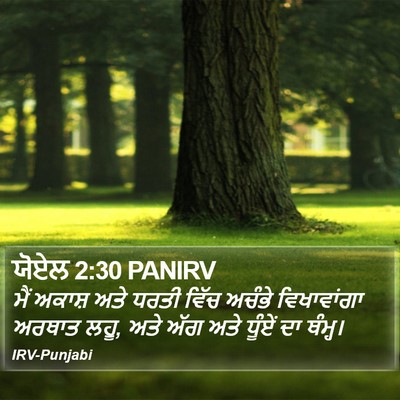 ਯੋਏਲ 2:30 PANIRV Bible Verse Image