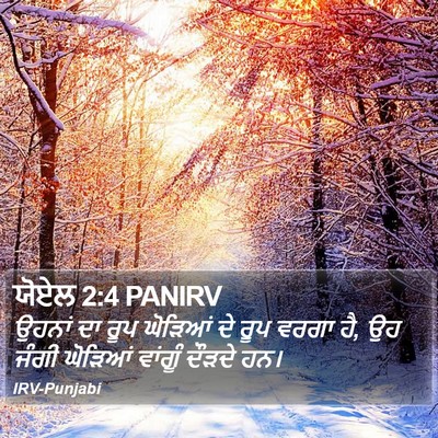 ਯੋਏਲ 2:4 PANIRV Bible Verse Image